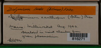 Image Associated With the Occurence